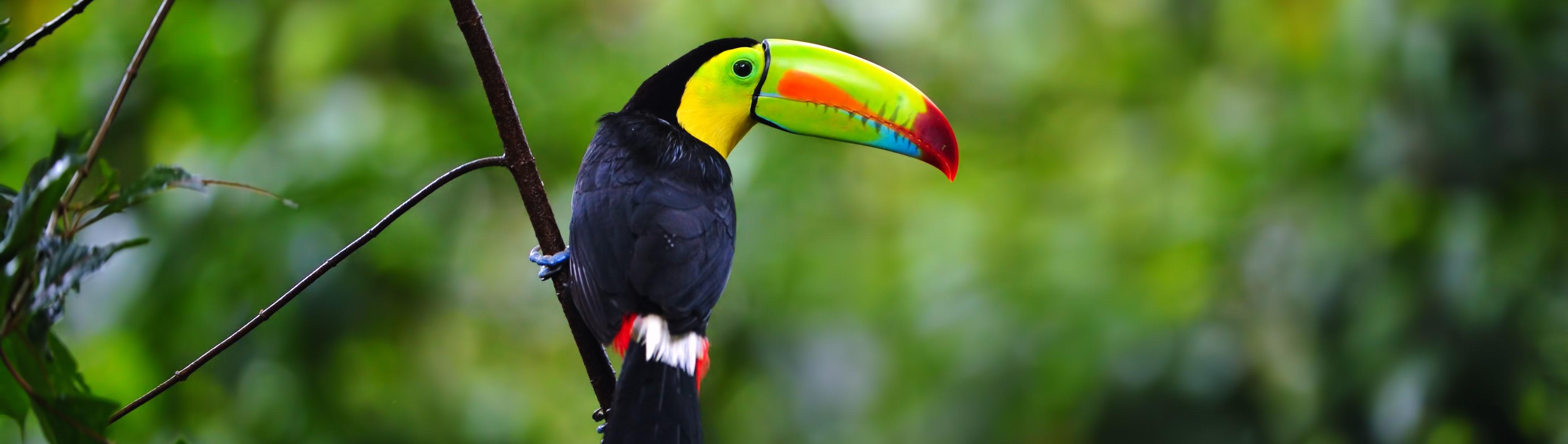 Costa Rica