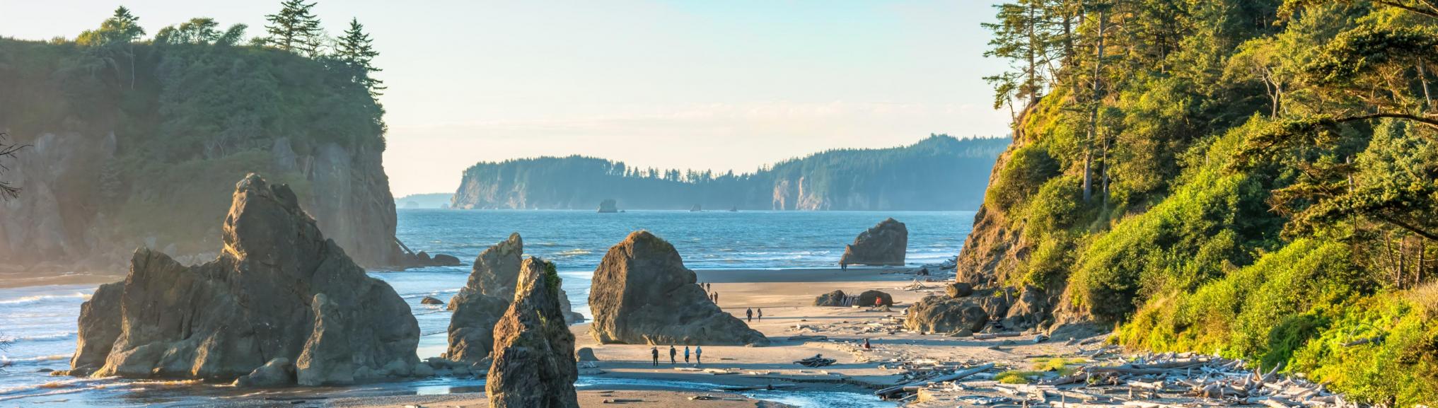USa - Washington - Olympic National Park