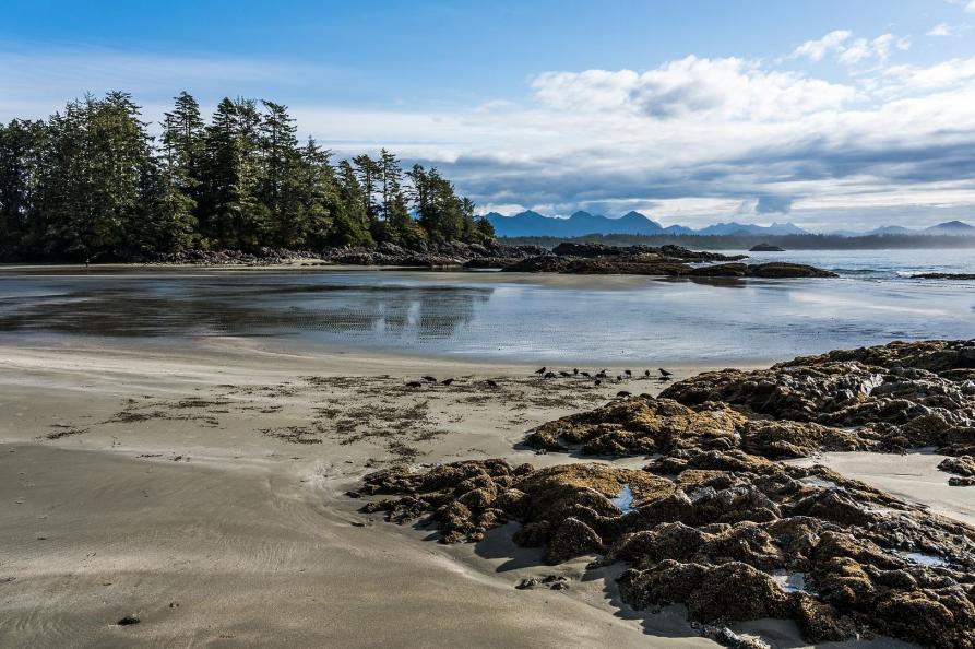 Canada Pacific Rim National Park op Vancouver Island
