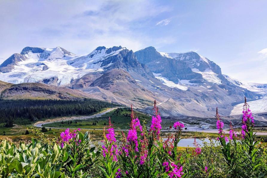 Canada Athabasca Glacier langs de Icefields Parkway