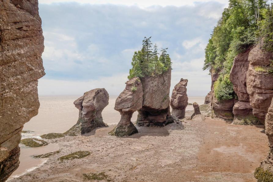 Canada - Hopewell Rocks in New Brunswick

