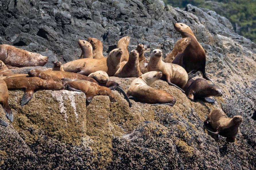 Canada Pacific Rim National Park