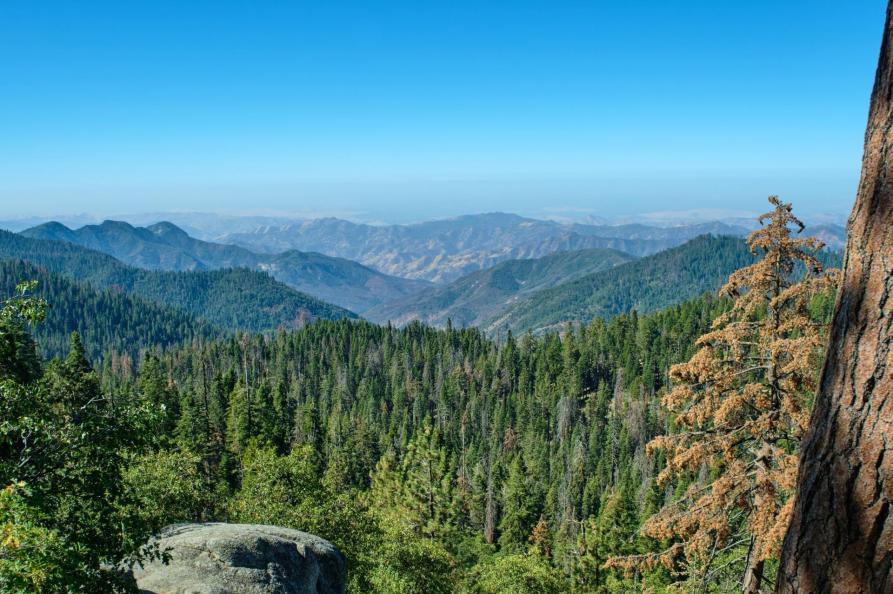 USA  - Sequoia National Park