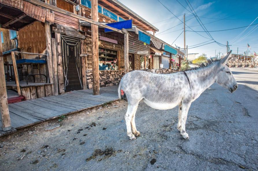 USA - Oatman