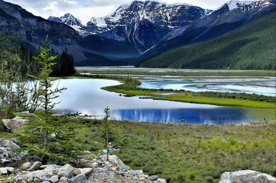 Canada Mount Kitchener in Jasper National Park