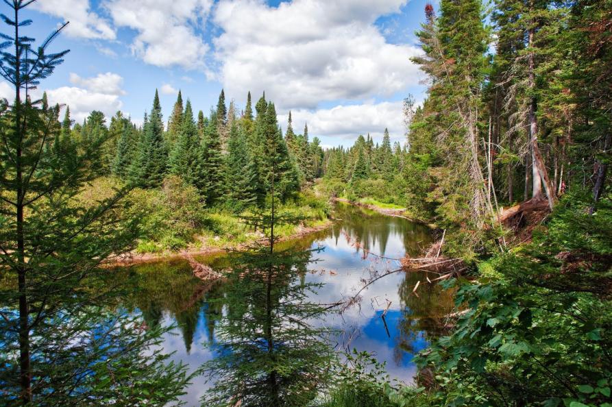 Canada Algonquin Provincial Park